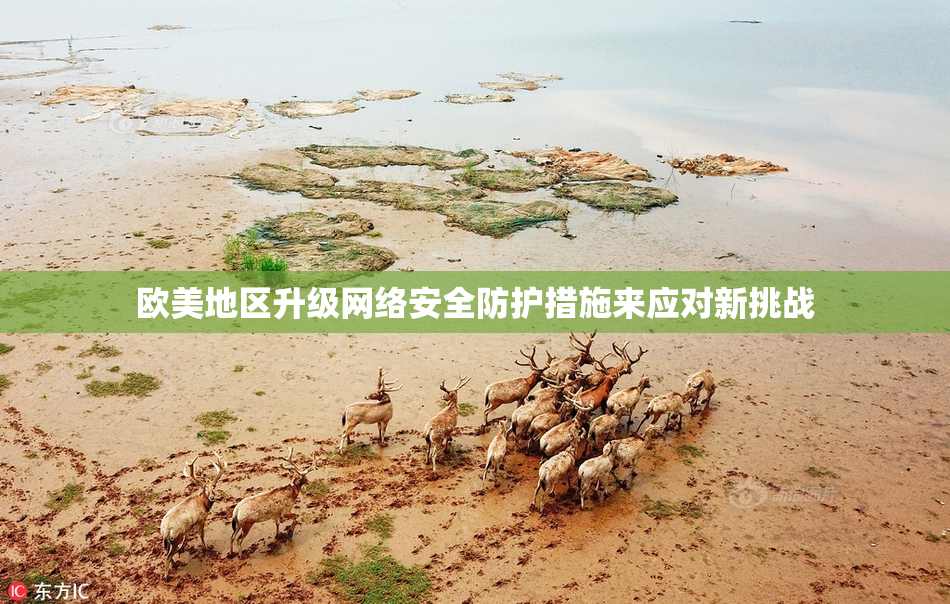 欧美地区升级网络安全防护措施来应对新挑战