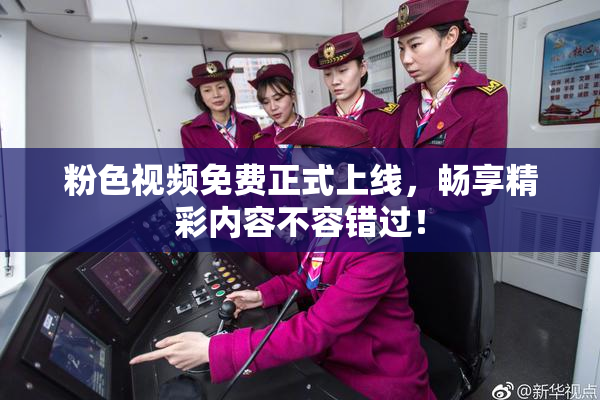 粉色视频免费正式上线，畅享精彩内容不容错过！