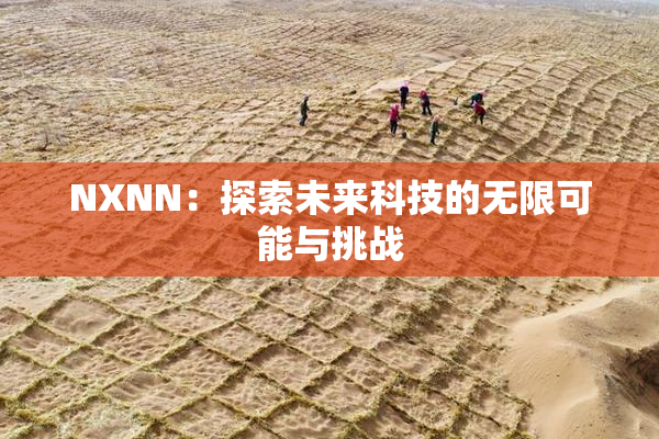 NXNN：探索未来科技的无限可能与挑战