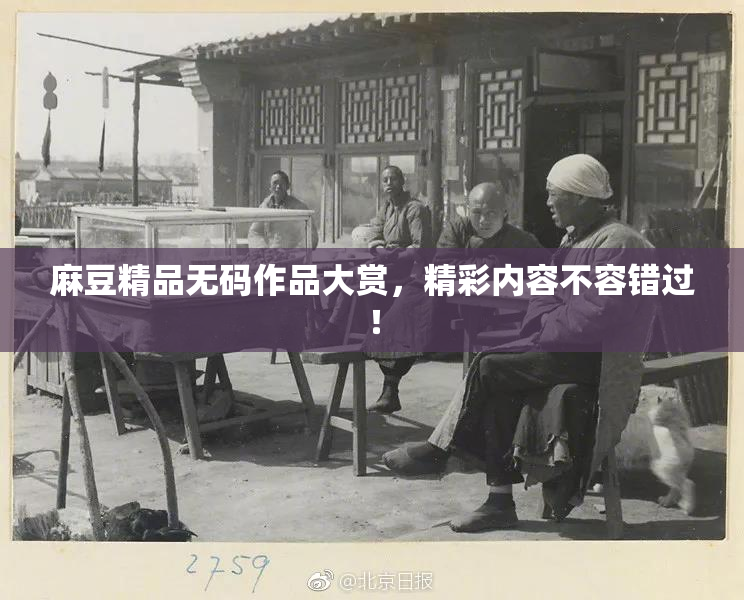 麻豆精品无码作品大赏，精彩内容不容错过！