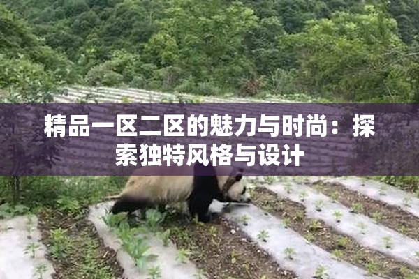 精品一区二区的魅力与时尚：探索独特风格与设计
