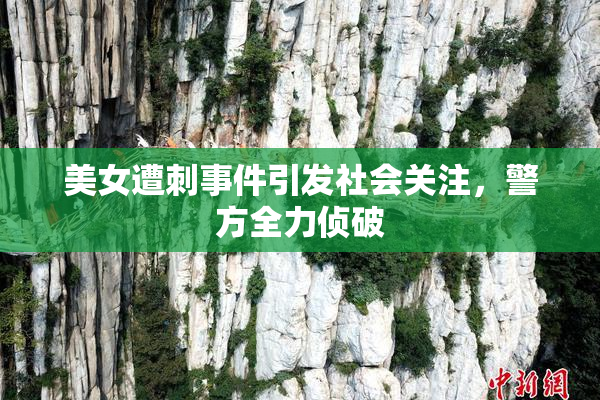 美女遭刺事件引发社会关注，警方全力侦破