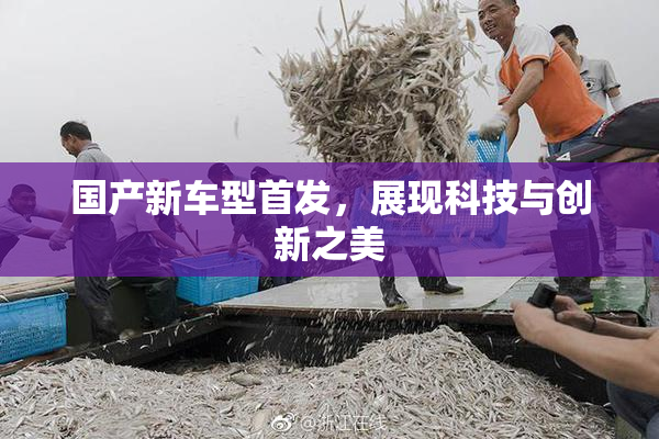国产新车型首发，展现科技与创新之美