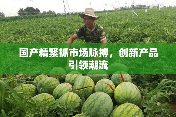 国产精紧抓市场脉搏，创新产品引领潮流