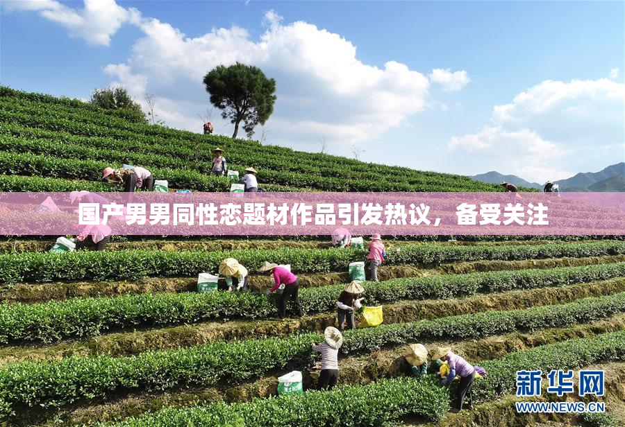 国产男男同性恋题材作品引发热议，备受关注