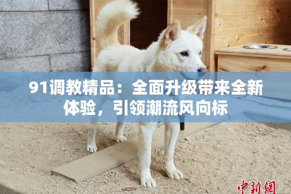 91调教精品：全面升级带来全新体验，引领潮流风向标