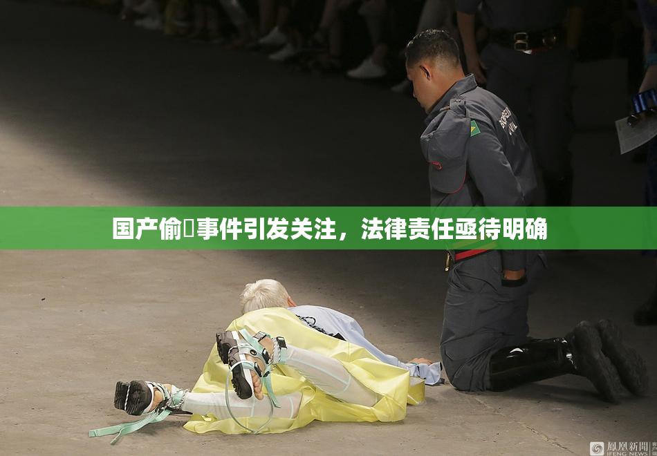 国产偷抇事件引发关注，法律责任亟待明确
