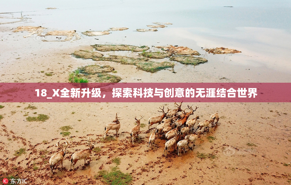 18_X全新升级，探索科技与创意的无涯结合世界