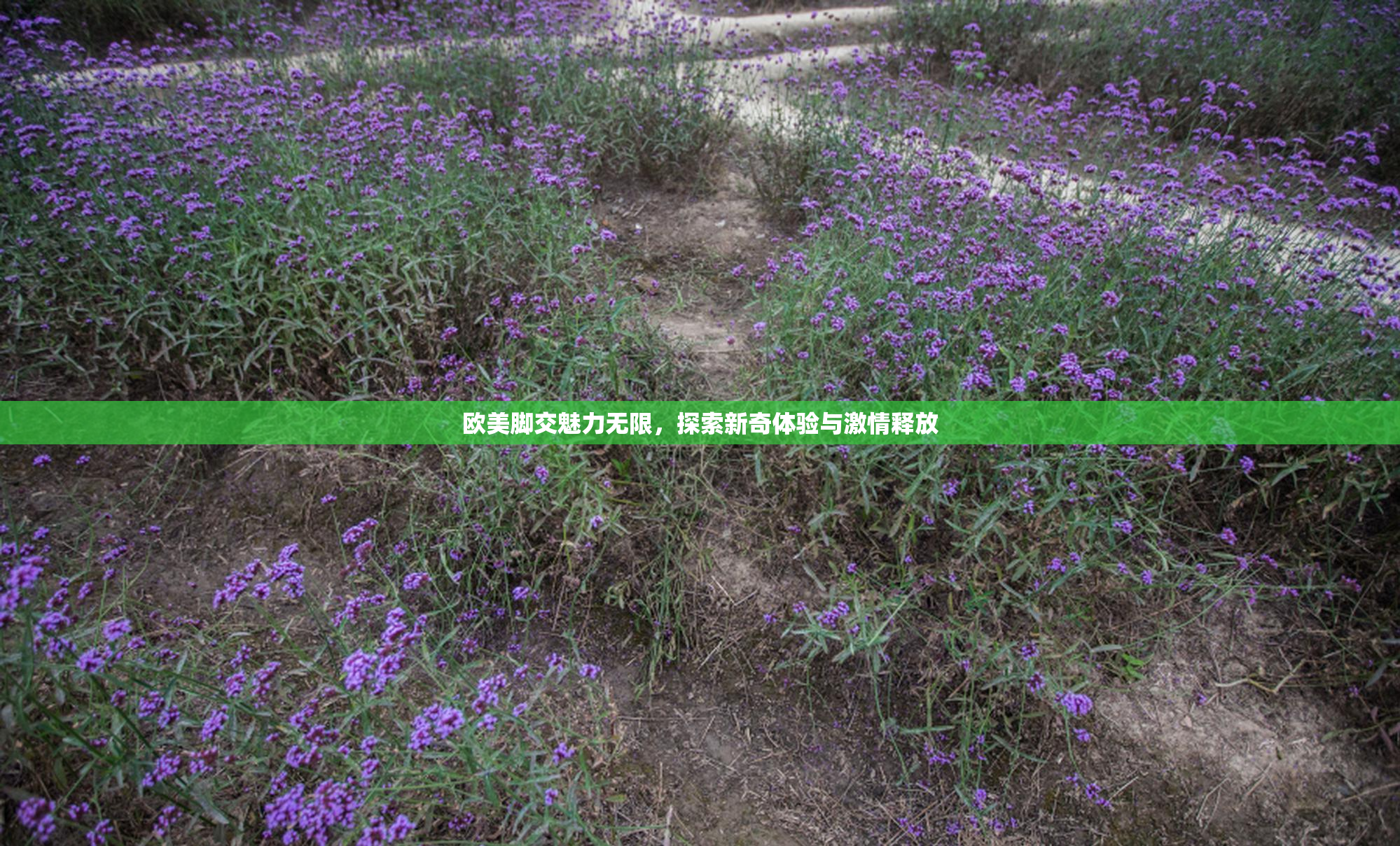 欧美脚交魅力无限，探索新奇体验与激情释放