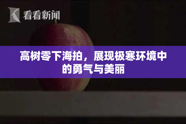 高树零下海拍，展现极寒环境中的勇气与美丽