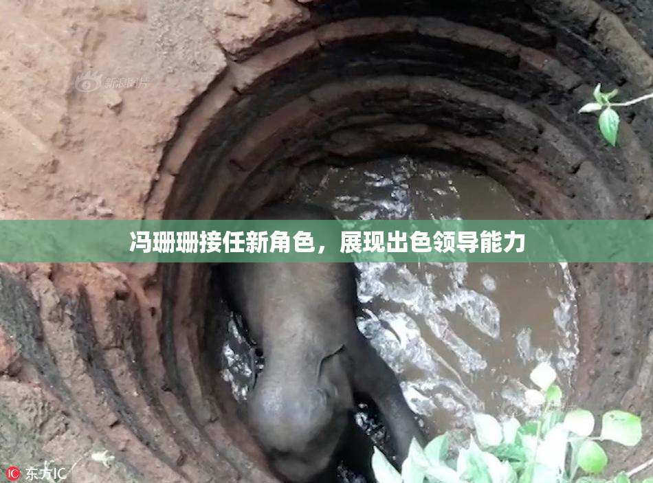 冯珊珊接任新角色，展现出色领导能力