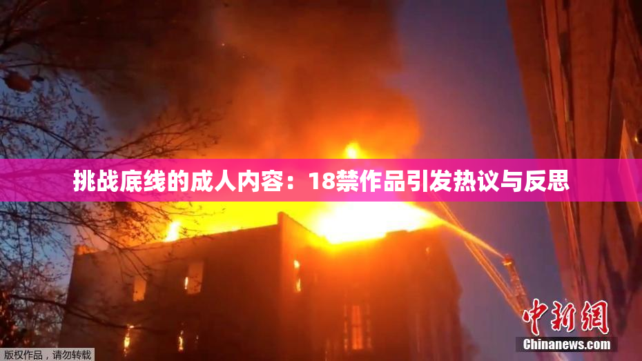 挑战底线的成人内容：18禁作品引发热议与反思