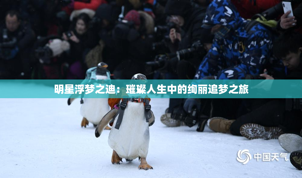 明星浮梦之迪：璀璨人生中的绚丽追梦之旅