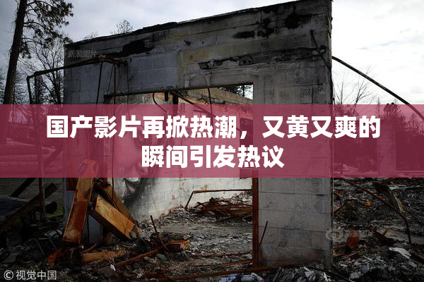 国产影片再掀热潮，又黄又爽的瞬间引发热议