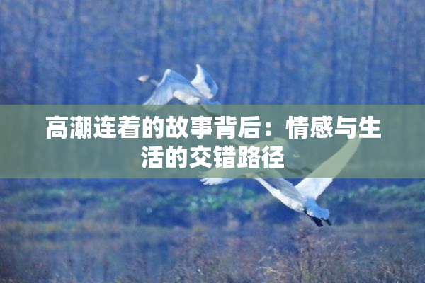 高潮连着的故事背后：情感与生活的交错路径