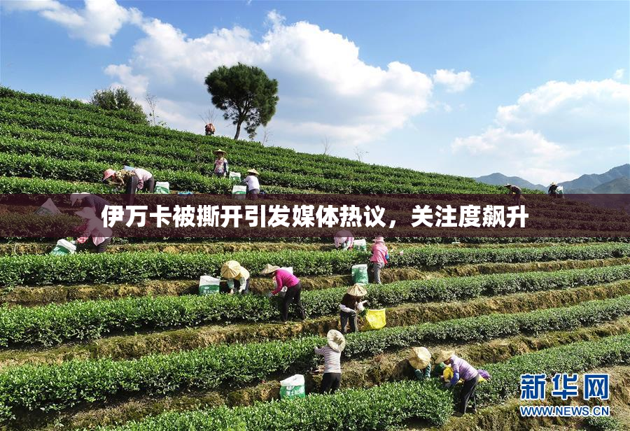 伊万卡被撕开引发媒体热议，关注度飙升