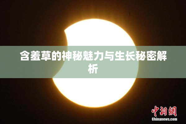 含羞草的神秘魅力与生长秘密解析
