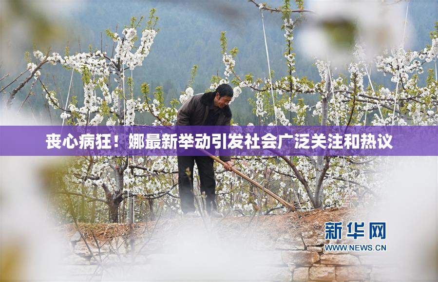 丧心病狂！娜最新举动引发社会广泛关注和热议