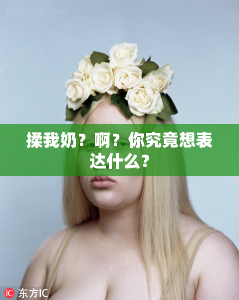 揉我奶？啊？你究竟想表达什么？