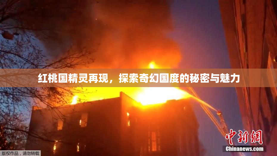 红桃国精灵再现，探索奇幻国度的秘密与魅力