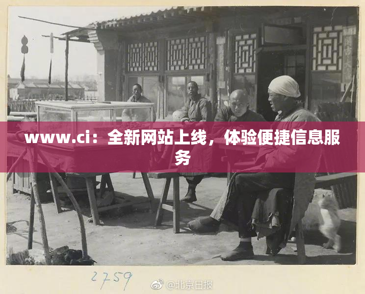 www.ci：全新网站上线，体验便捷信息服务