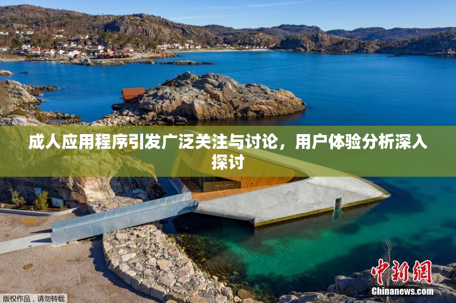成人应用程序引发广泛关注与讨论，用户体验分析深入探讨