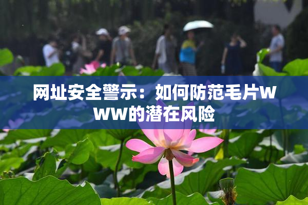 网址安全警示：如何防范毛片WWW的潜在风险