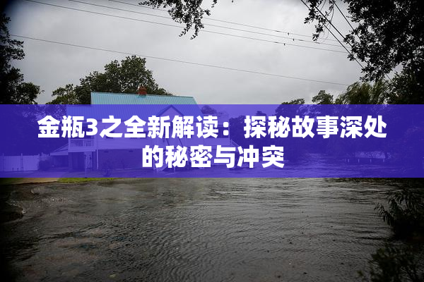 金瓶3之全新解读：探秘故事深处的秘密与冲突