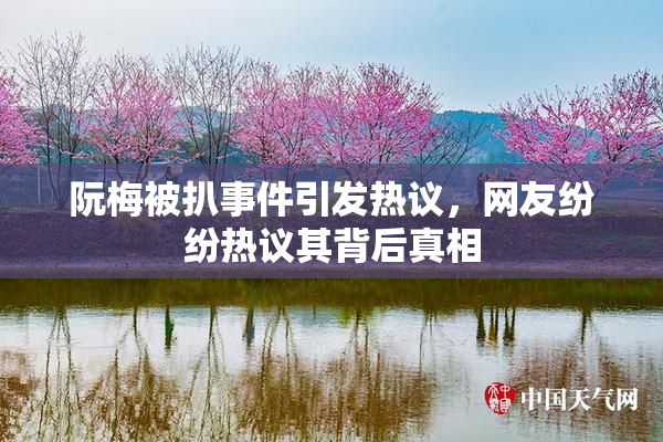 阮梅被扒事件引发热议，网友纷纷热议其背后真相