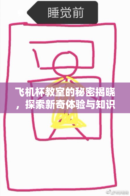 飞机杯教室的秘密揭晓，探索新奇体验与知识结合