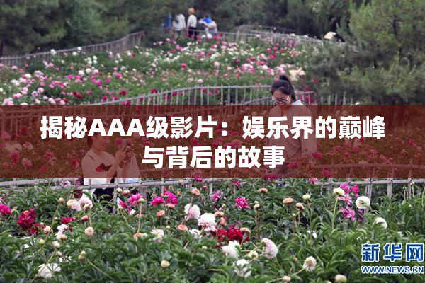 揭秘AAA级影片：娱乐界的巅峰与背后的故事