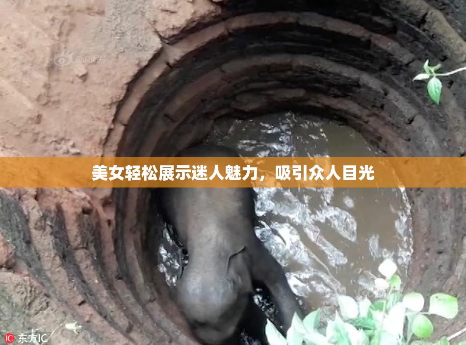 美女轻松展示迷人魅力，吸引众人目光