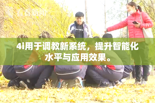 4i用于调教新系统，提升智能化水平与应用效果。
