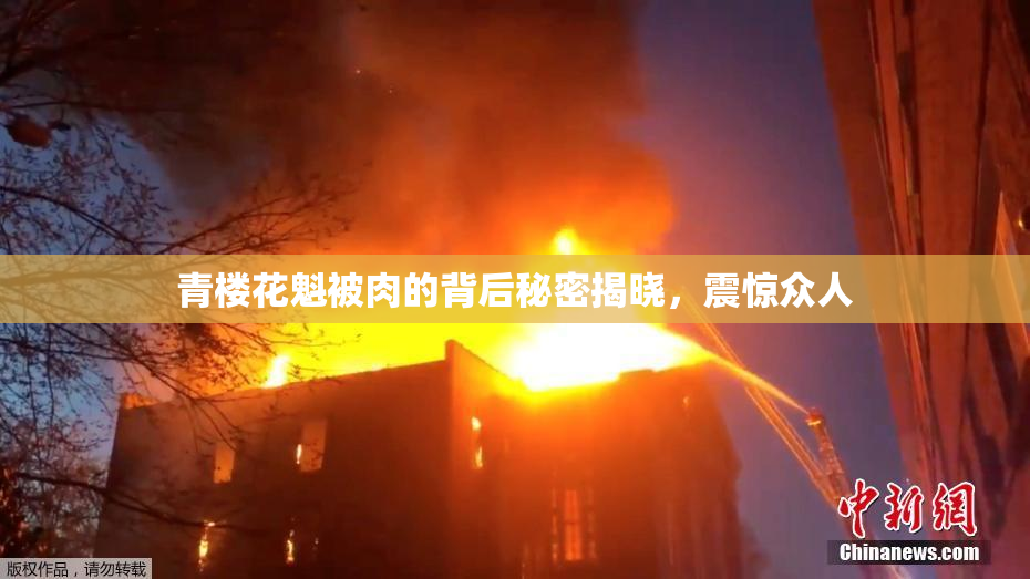 青楼花魁被肉的背后秘密揭晓，震惊众人