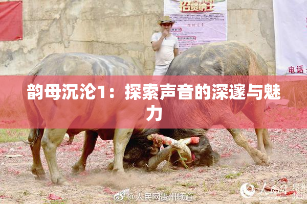 韵母沉沦1：探索声音的深邃与魅力