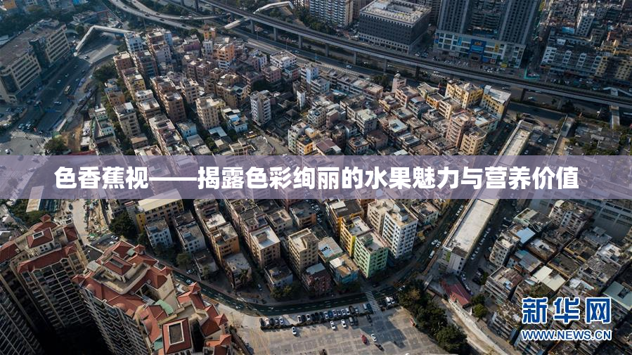 色香蕉视——揭露色彩绚丽的水果魅力与营养价值