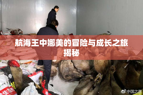 航海王中娜美的冒险与成长之旅揭秘