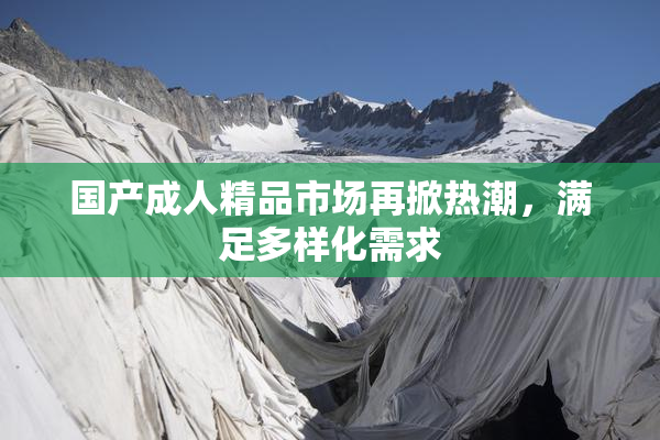 国产成人精品市场再掀热潮，满足多样化需求