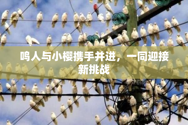 鸣人与小樱携手并进，一同迎接新挑战