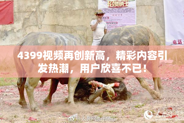 4399视频再创新高，精彩内容引发热潮，用户欣喜不已！