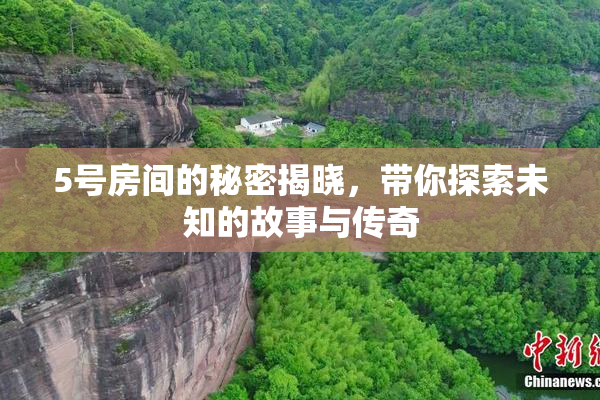 5号房间的秘密揭晓，带你探索未知的故事与传奇