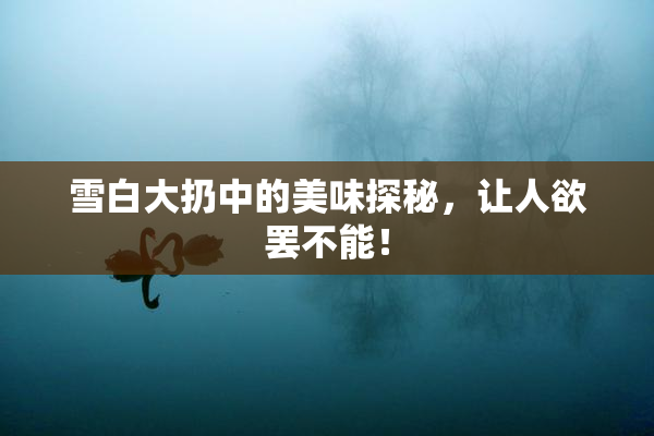 雪白大扔中的美味探秘，让人欲罢不能！