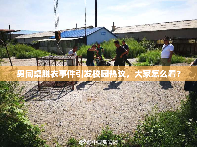 男同桌脱衣事件引发校园热议，大家怎么看？