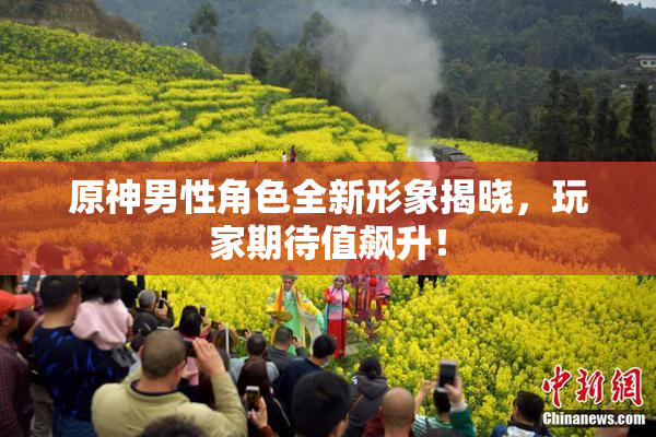 原神男性角色全新形象揭晓，玩家期待值飙升！