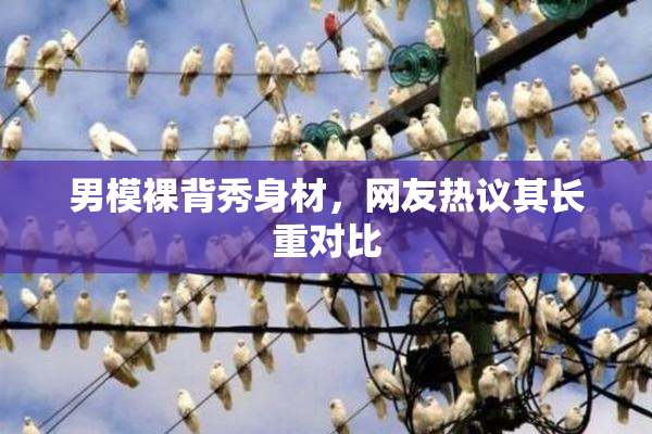 男模裸背秀身材，网友热议其长重对比