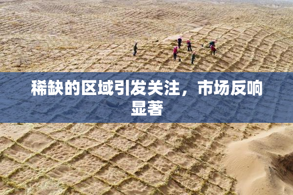 稀缺的区域引发关注，市场反响显著