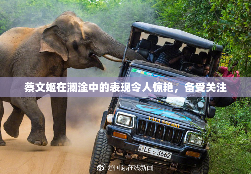 蔡文姬在澜淦中的表现令人惊艳，备受关注