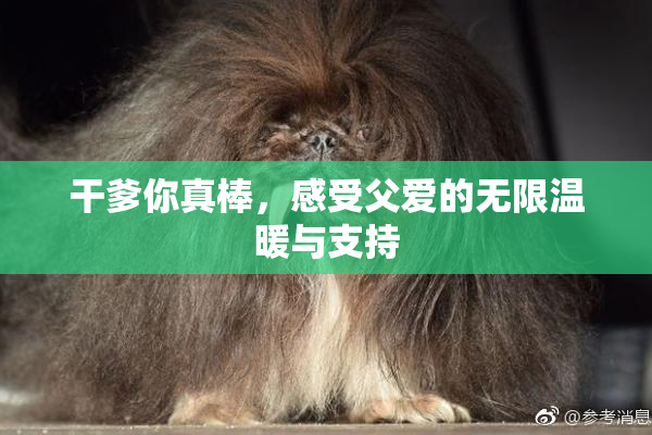 干爹你真棒，感受父爱的无限温暖与支持