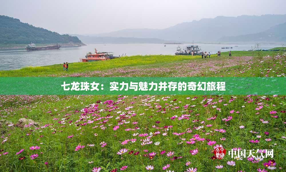 七龙珠女：实力与魅力并存的奇幻旅程