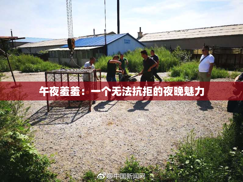 午夜羞羞：一个无法抗拒的夜晚魅力